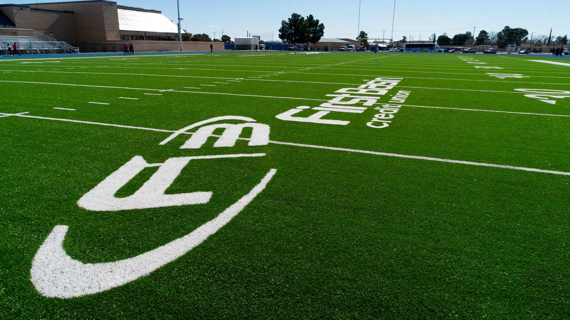 Stadium football field grass