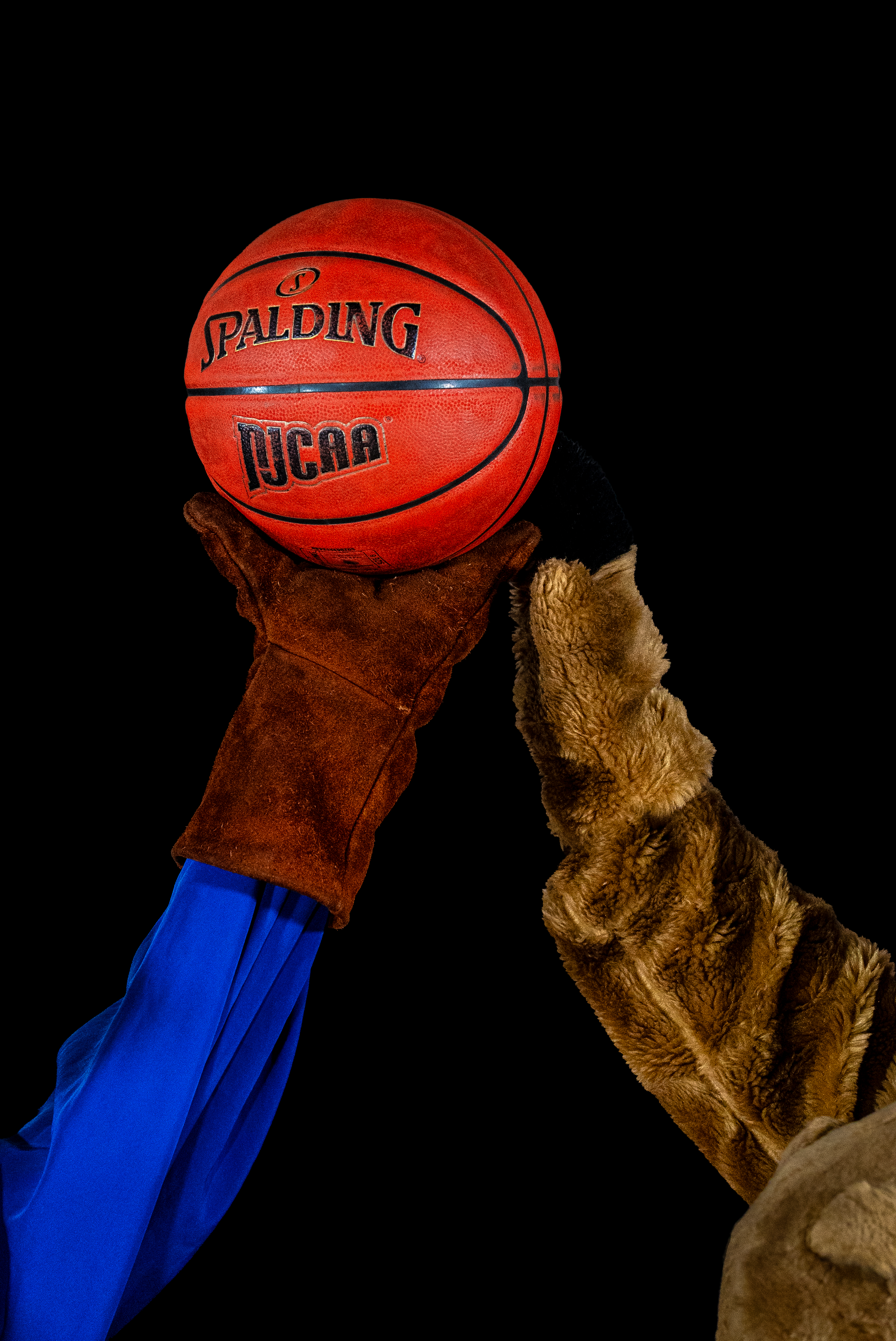 The hands of the mascots Billie and Willy with a basketball ball